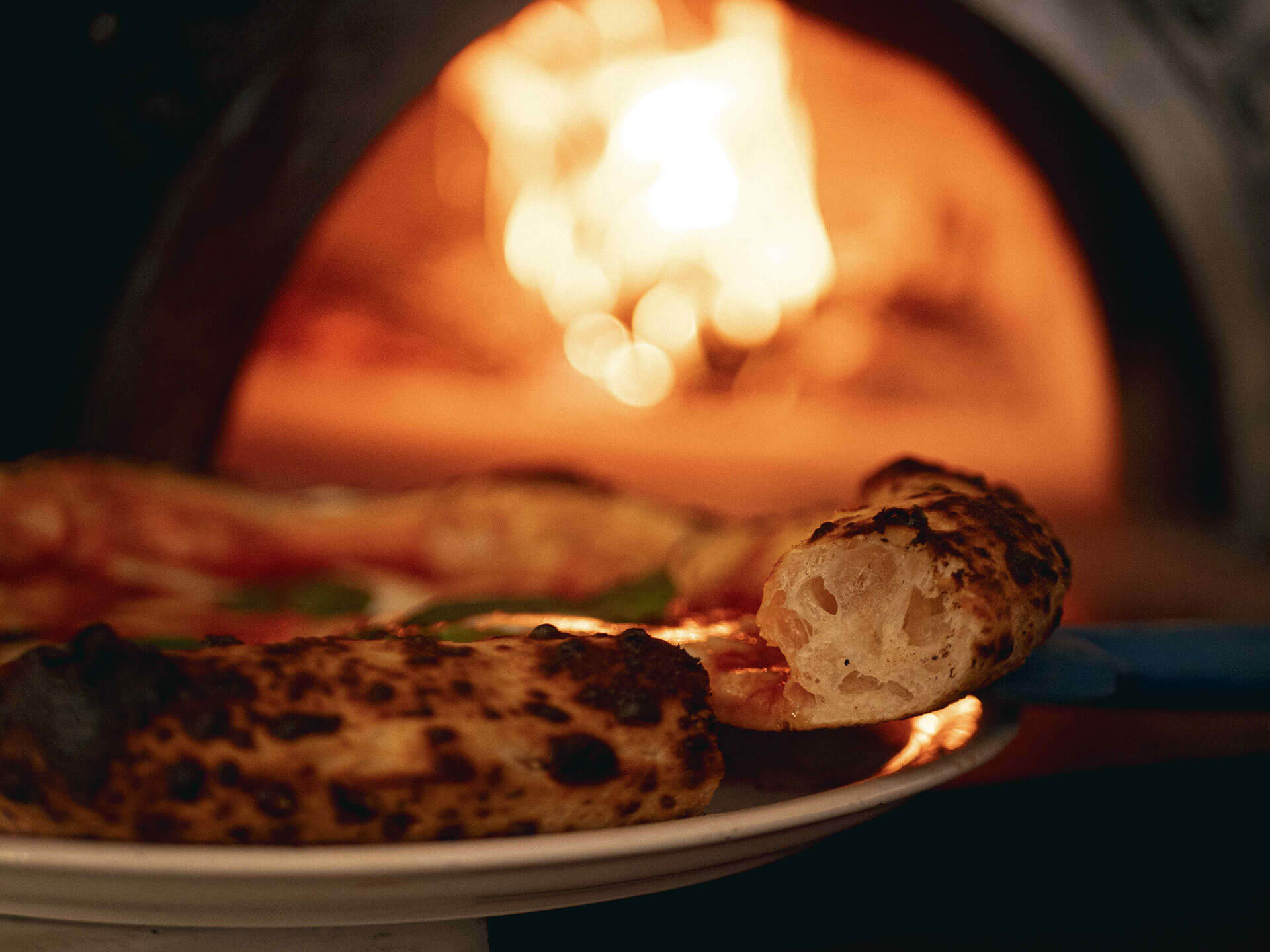 pizza wood oven fuego pizzeria